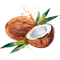 coconut Bb2 - zdarma png