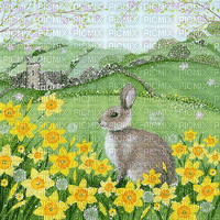 soave background animated   easter green yellow - GIF animé gratuit
