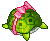 turtle - Zdarma animovaný GIF