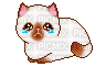 Sad Siamese Cat - 無料のアニメーション GIF