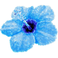 Animated.Flower.Blue - By KittyKatLuv65 - Gratis geanimeerde GIF