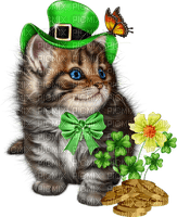 Saint Patricks Day. Cat. Leila - besplatni png