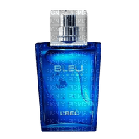 Parfum pour Hommes.Bleu.Victoriabea - gratis png