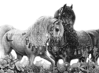 Y.A.M._Fantasy animals horses black-white - PNG gratuit