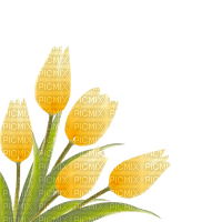 yellow tulips Bb2 - png gratuito