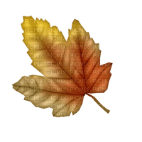 Herbst - ücretsiz png