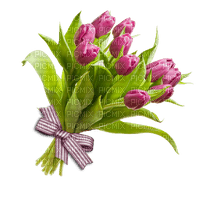 tulips-flower-pink - 無料png