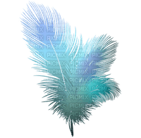feather - zadarmo png