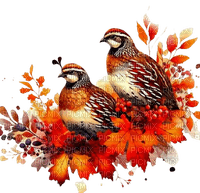 Осенний декор - ücretsiz png