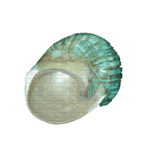 Tube Coquillage - 免费PNG