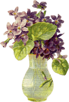 jaron violetas dubravka4 - nemokama png