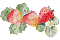 strawberry Bb2 - Free PNG