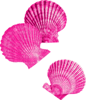 Seashells.Pink - png ฟรี