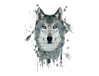 Wolf - бесплатно png