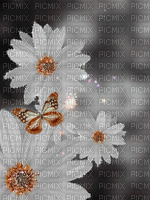 flower - Zdarma animovaný GIF