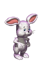 rabbit - Бесплатный анимированный гифка