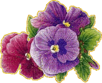 pansy with glitter