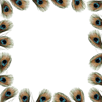 feather peacock frame - ingyenes png