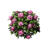 Flowers-RM - безплатен png