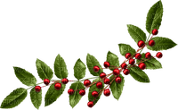 Branch.Berries.Green.Red - Free PNG