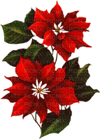 Y.A.M._New year Christmas flowers - ücretsiz png
