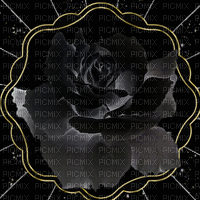 black rose - GIF animado gratis