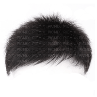 hair, wig bp - 免费PNG