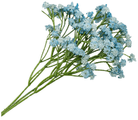 цветы - PNG gratuit