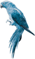 soave deco summer bird tropical parrot blue brown - gratis png