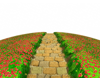 stone path with flowers chemin de pierre fleur