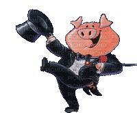 Porco - Бесплатный анимированный гифка