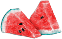 soave deco summer fruit  watermelon pink teal - Free PNG