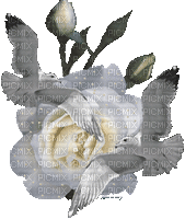 роза - Безплатен анимиран GIF