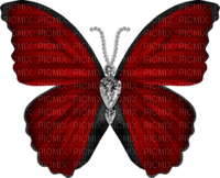 Papillon - ingyenes png
