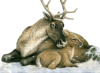 deer bp - Free PNG