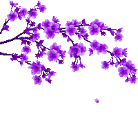 purple flower branche gif violet fleur branche - Nemokamas animacinis gif