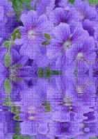 flowers - Ilmainen animoitu GIF
