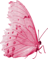 бабочка; акварель - ingyenes png