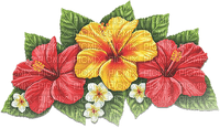 soave deco summer  tropical pink yellow green - PNG gratuit