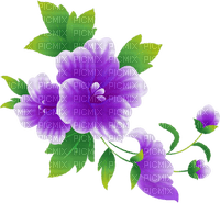 All my lovely flowers - 免费PNG