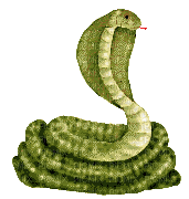 serpent HD - Gratis animerad GIF