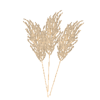 Plants.Blé.Wheat.Deco.gif.Victoriabea - Бесплатни анимирани ГИФ