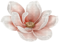lotus flowers bp - 免费PNG