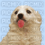 Mimi chien - GIF animado gratis
