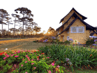house,home,trees, Town - kostenlos png