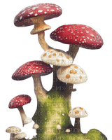 mushrooms - darmowe png
