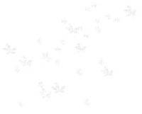 white leaf overlay - 免费PNG