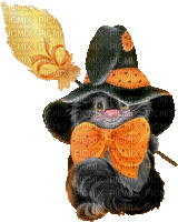 halloween witch__BLUE DREAM 70 - Ücretsiz animasyonlu GIF