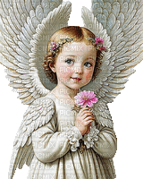 engel angel milla1959 - GIF animé gratuit