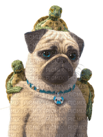 loly33 chien - darmowe png